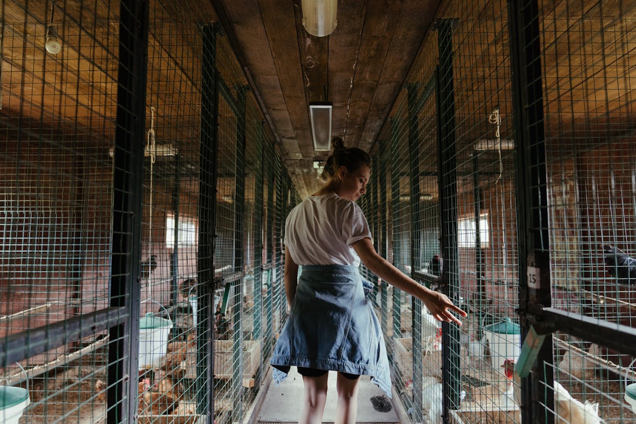 Woman in White T-shirt and Black Skirt Standing on Gray Metal Fence